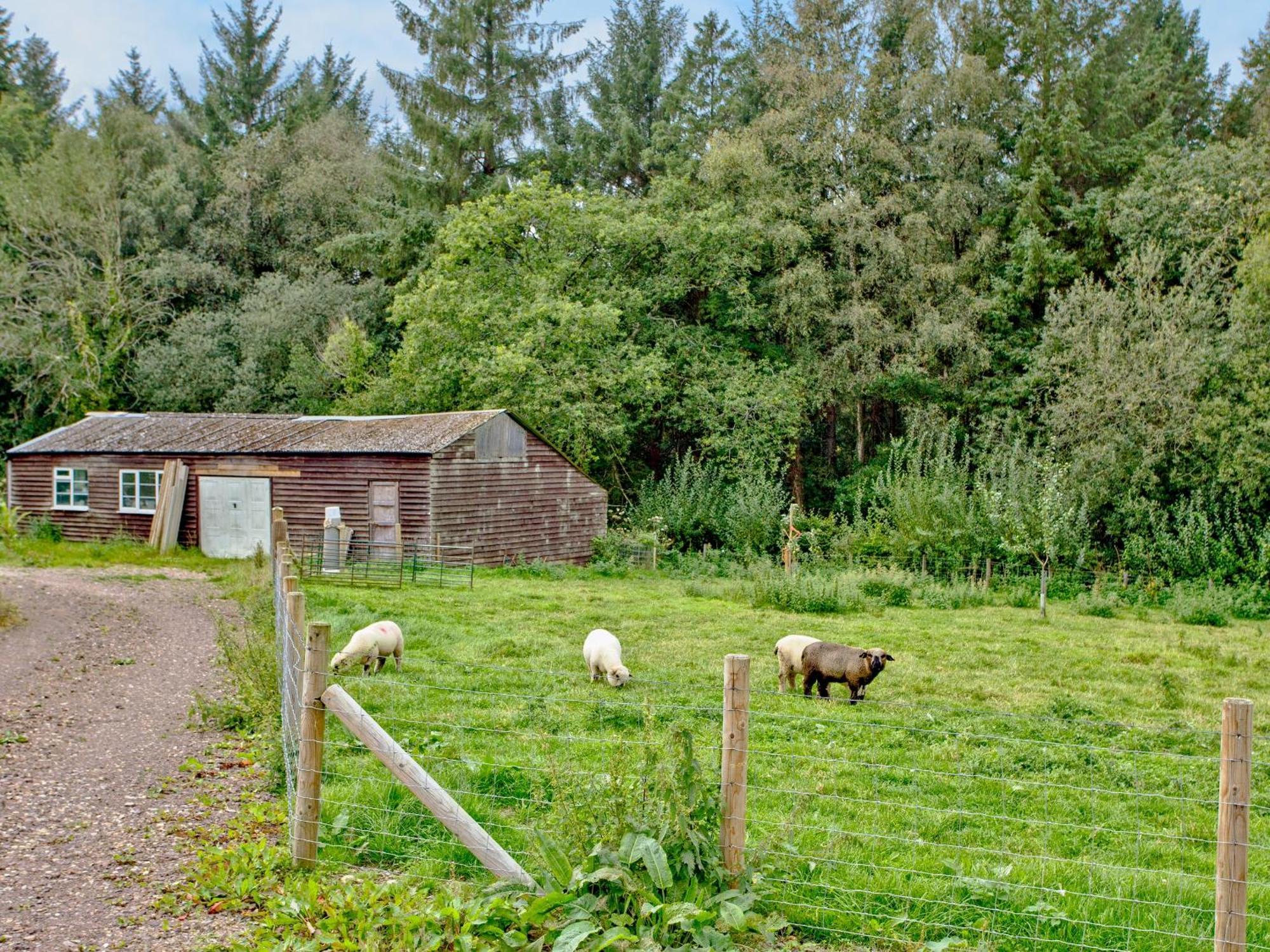 Willa Orchard View South Chard Zewnętrze zdjęcie